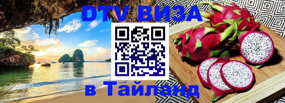 Сколько стоит DTV виза — актуальные цены, оформление даже без документов - Веллингтон 